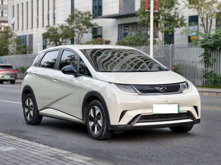 BYD Dolphin 2025 Model 420KM Free Edition – фото 3