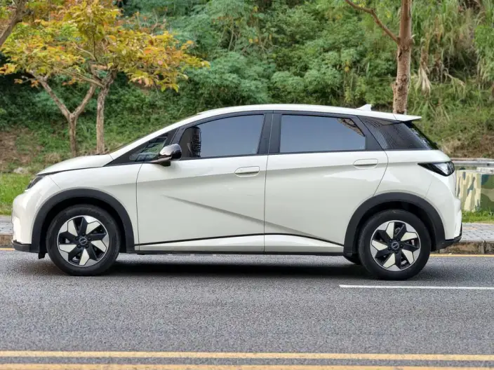 BYD Dolphin 2025 Model 420KM Free Edition – фото 4