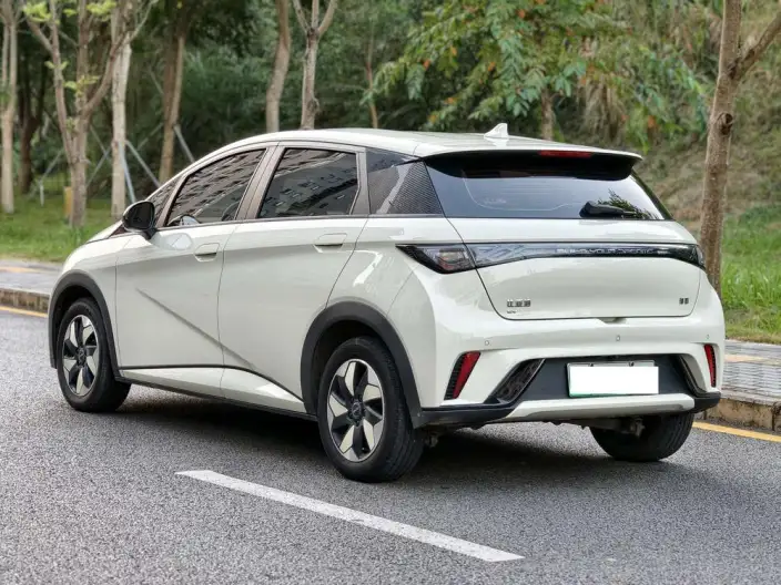 BYD Dolphin 2025 Model 420KM Free Edition – фото 5
