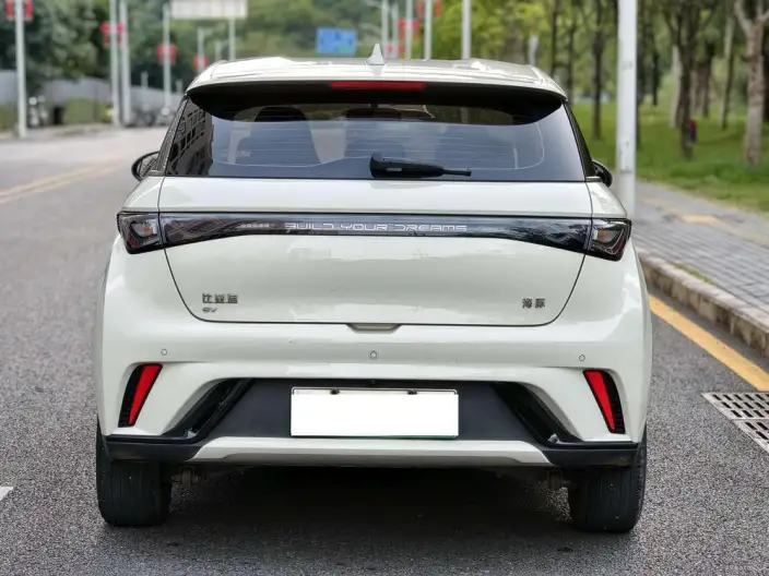 BYD Dolphin 2025 Model 420KM Free Edition – фото 6