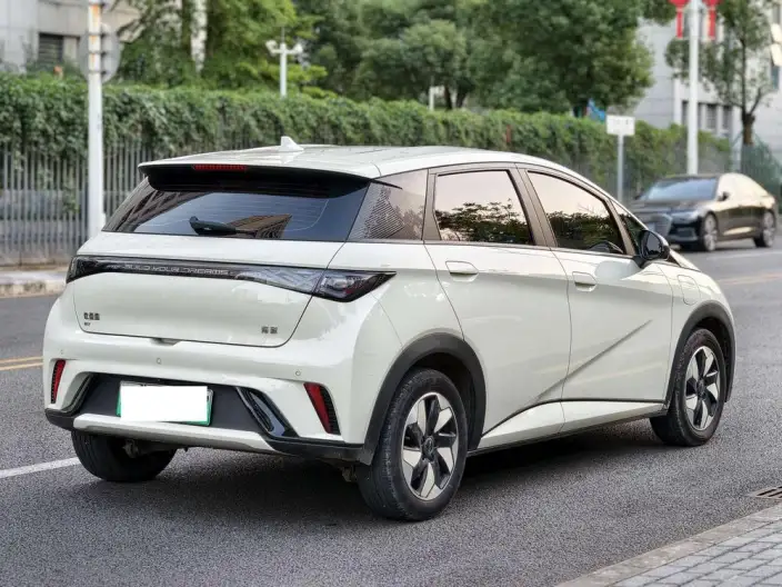 BYD Dolphin 2025 Model 420KM Free Edition – фото 7