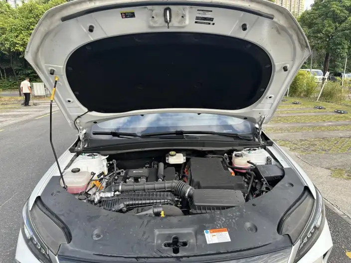 BYD Qin PLUS DM 2025 Model Smart Driving Edition DM-i 55KM Leading Model – фото 8