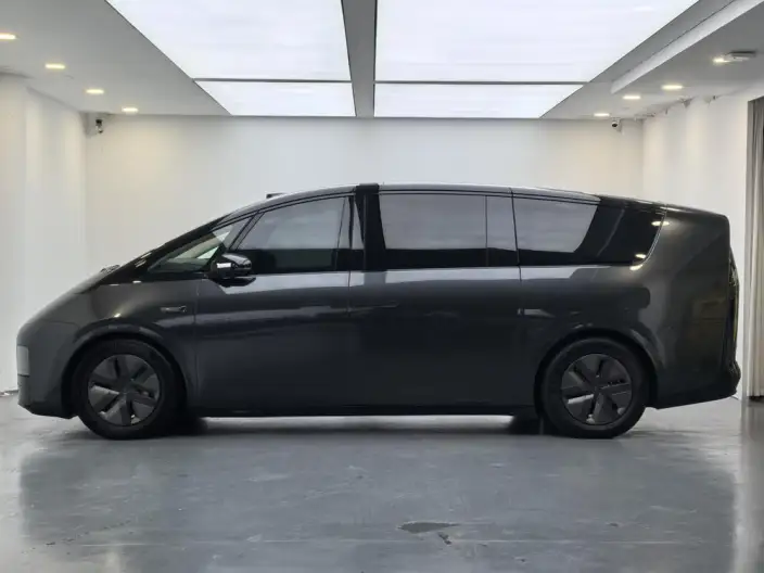 Li Auto MEGA 2025 Model Home Family Special Edition – фото 4