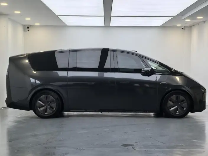 Li Auto MEGA 2025 Model Home Family Special Edition – фото 8