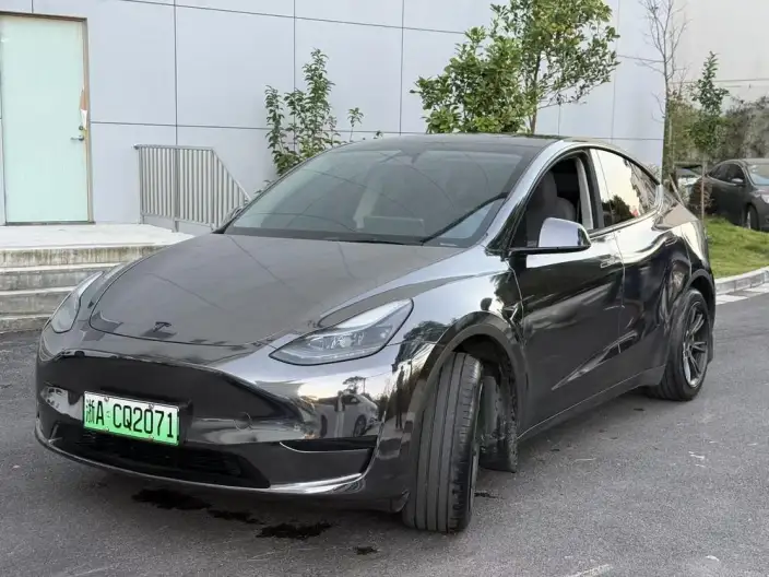 Model Y 2024 Model Rear-wheel drive version – фото 1
