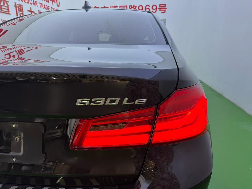 BMW 5 Series PHEV Модель 2019 года 530Le Luxury Set – фото 10