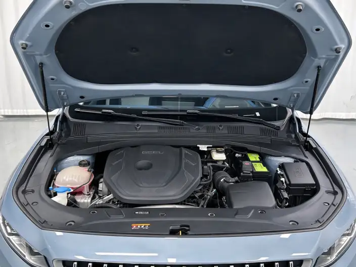 Geely StarRui 2023 Model 2.0T Noble Model – фото 10