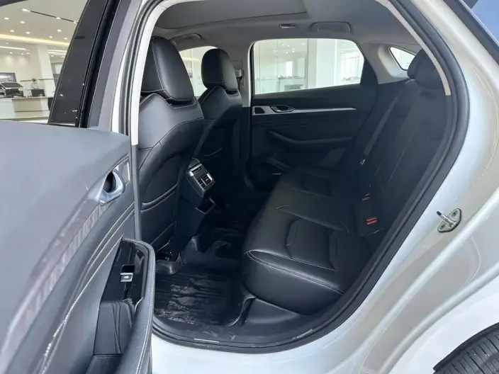 Geely StarRui 2023 Model 2.0T Noble Model – фото 10