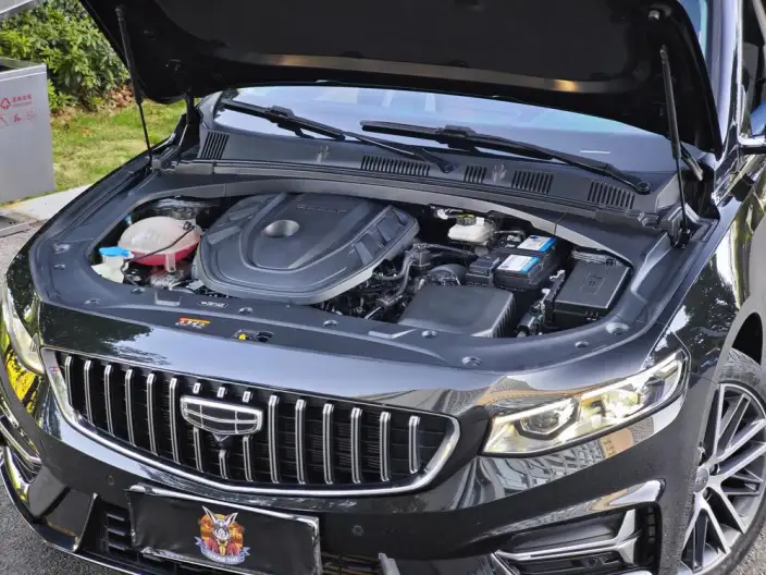 Geely StarRui 2023 Model 2.0T Noble Model – фото 7
