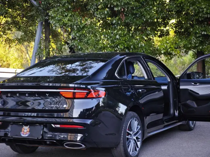Geely StarRui 2023 Model 2.0T Noble Model – фото 8