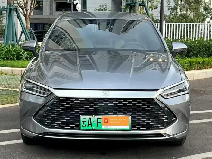 BYD Qin PLUS DM 2024 Model Honor Edition DM-i 55KM Leading Model – фото 2