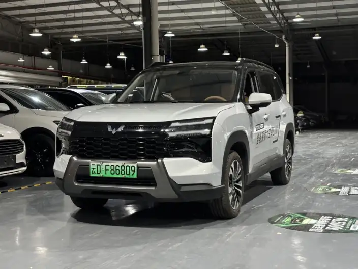 Xingguang 560 PHEV 2026 Model 125km Luxury Model