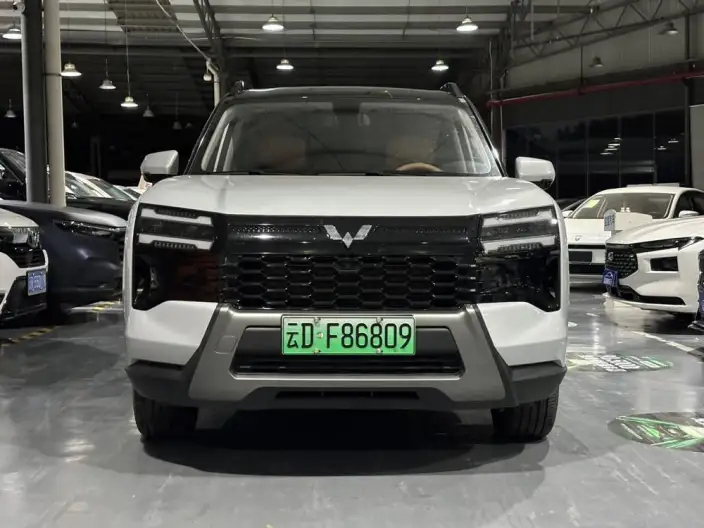 Xingguang 560 PHEV 2026 Model 125km Luxury Model
