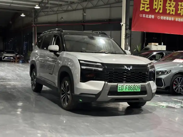 Xingguang 560 PHEV 2026 Model 125km Luxury Model