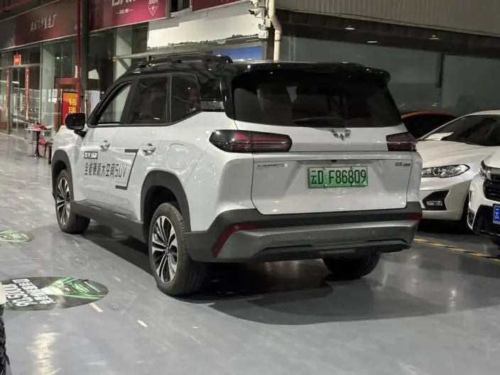 Xingguang 560 PHEV 2026 Model 125km Luxury Model