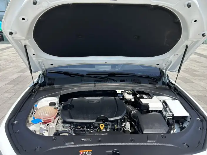 Geely StarRui 2023 Model 1.5T Kunlun Edition – фото 6