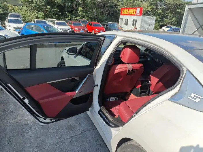 BMW 5 Series 2024 Model 530Li Leading Model M Sports Set – фото 6