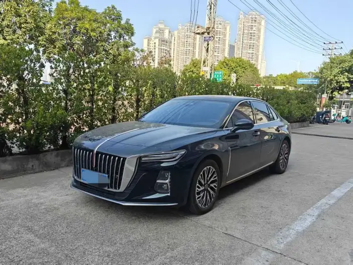 Hongqi H5 2025 Model 2.0T Automatic Flag Enjoy Edition – фото 1