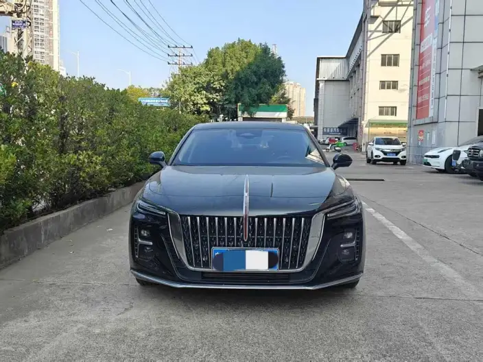 Hongqi H5 2025 Model 2.0T Automatic Flag Enjoy Edition – фото 2