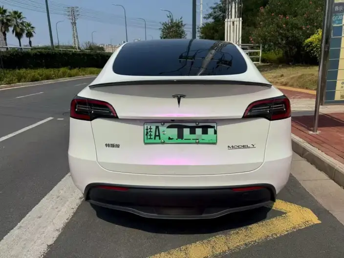 Model Y 2022 Model Performance High performance All-wheel drive version – фото 5