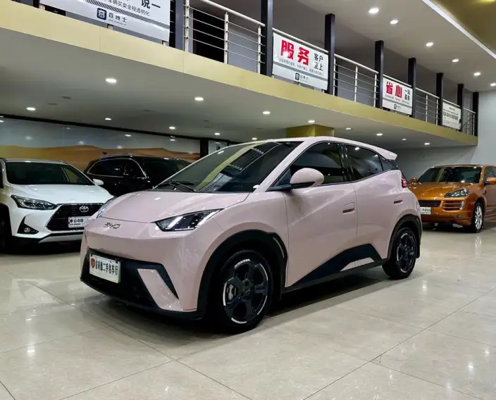 BYD Seagull 2024 Model Honor Edition 405KM Feixiang Edition – фото 1