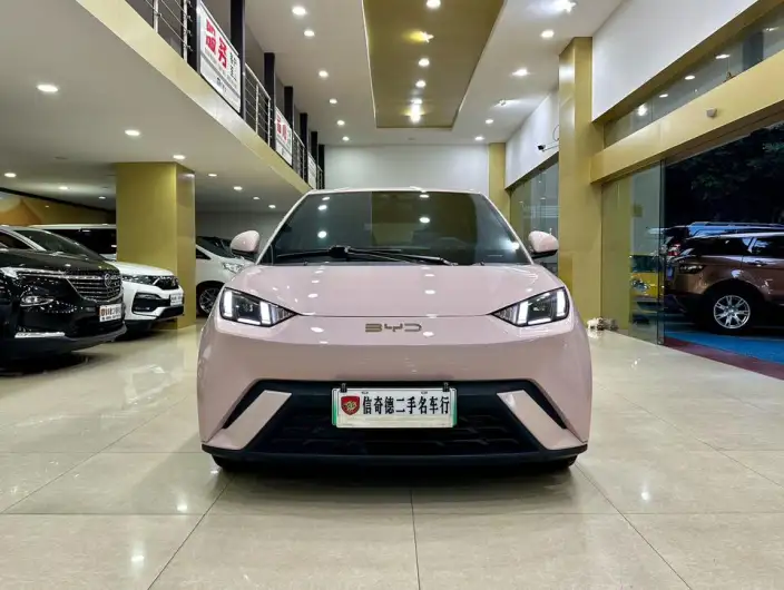 BYD Seagull 2024 Model Honor Edition 405KM Feixiang Edition – фото 2