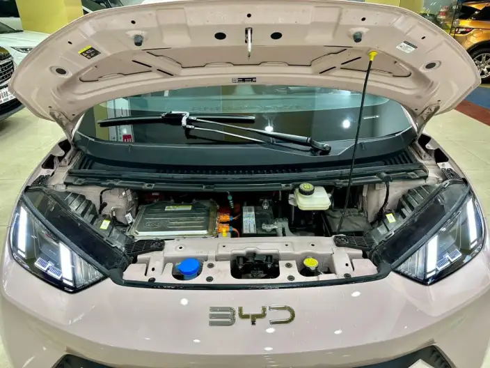 BYD Seagull 2024 Model Honor Edition 405KM Feixiang Edition – фото 9