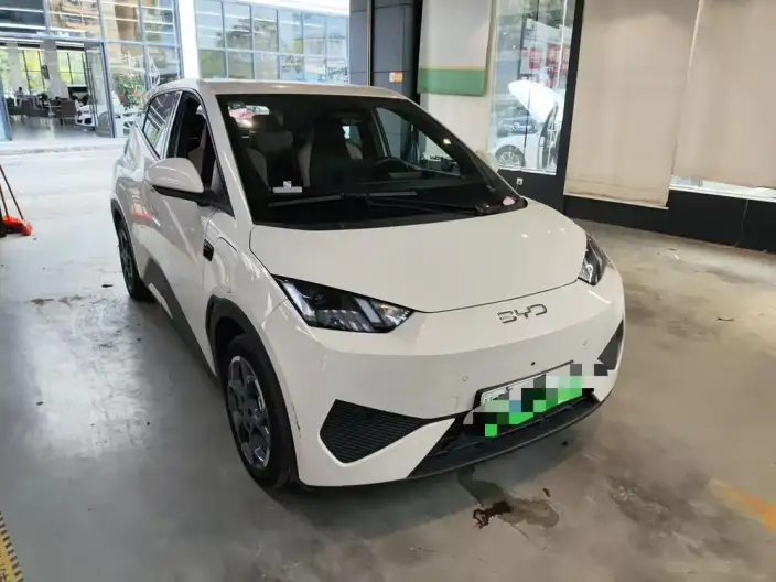 BYD Seagull 2025 Model Smart Driving Edition 305KM Free Edition – фото 2