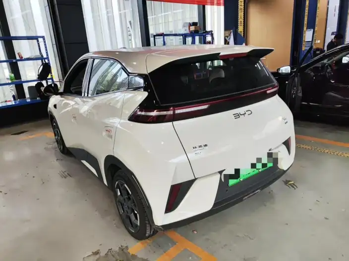 BYD Seagull 2025 Model Smart Driving Edition 305KM Free Edition – фото 3