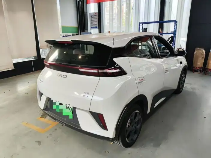 BYD Seagull 2025 Model Smart Driving Edition 305KM Free Edition – фото 4