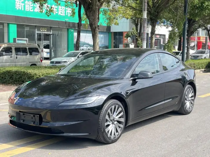 Model 3 2025 Model Facelift Rear-wheel drive version – фото 1