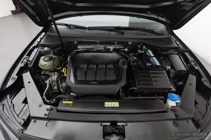 Volkswagen Magotan 2020 Model 330TSI DSG Luxury Model – фото 5