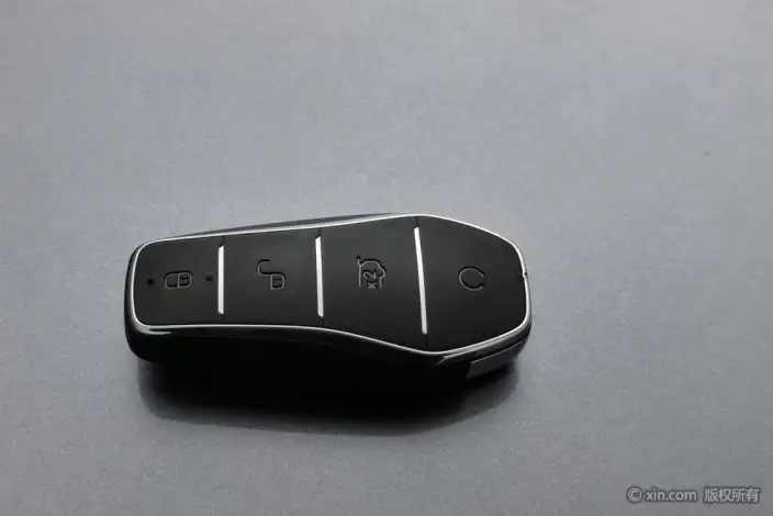 Sea Lion 06DM 2025 Model DM-i 205KM Pilot Pro Edition – фото 6