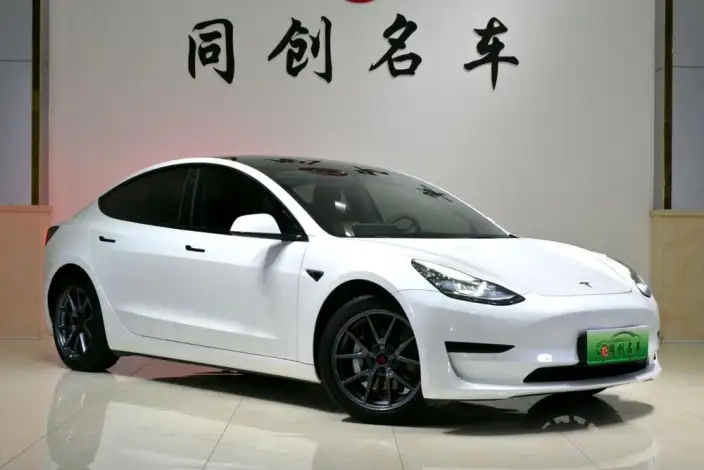 Model 3 2022 Model Rear-wheel drive version – фото 3