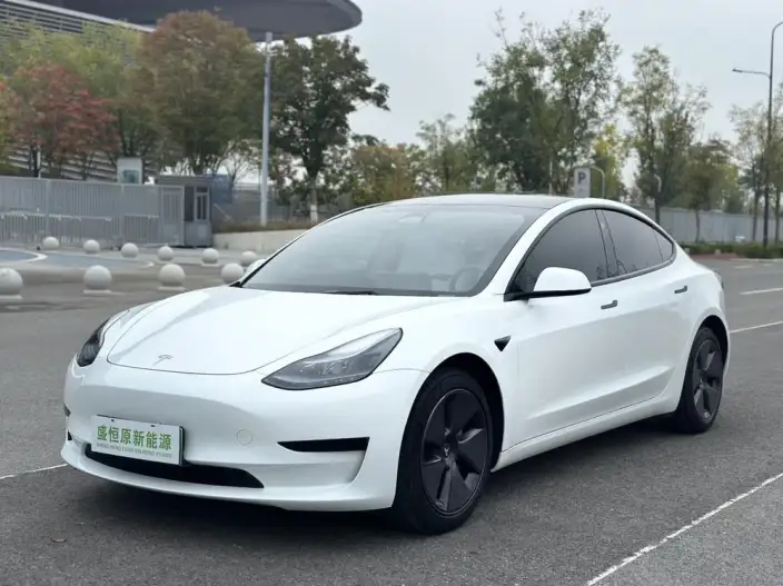 Model 3 2022 Model Rear-wheel drive version – фото 1