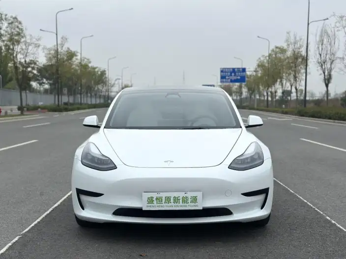Model 3 2022 Model Rear-wheel drive version – фото 2