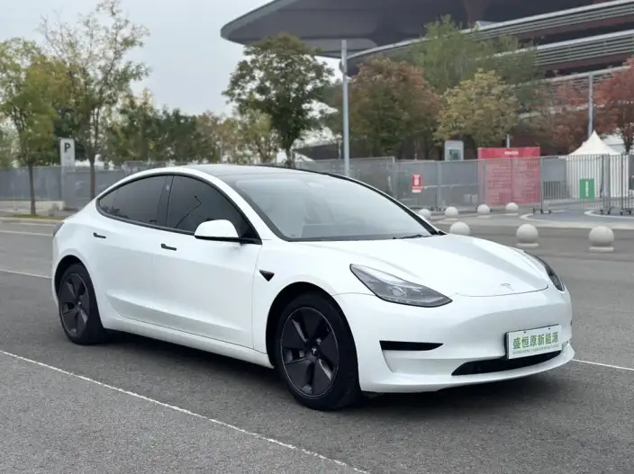 Model 3 2022 Model Rear-wheel drive version – фото 3