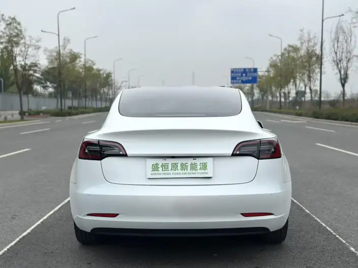 Model 3 2022 Model Rear-wheel drive version – фото 6