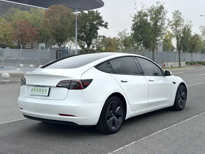 Model 3 2022 Model Rear-wheel drive version – фото 7