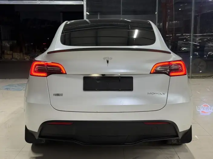 Model Y 2024 Model Rear-wheel drive version – фото 5