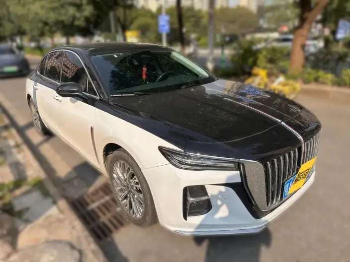 Hongqi H5 2023 Model 2.0T Automatic Flag Enjoy Edition – фото 3