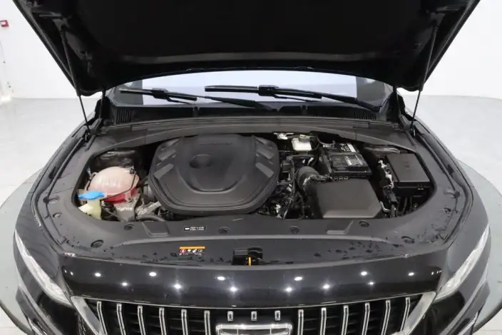 Geely StarRui 2023 Model 2.0T Noble Model – фото 10