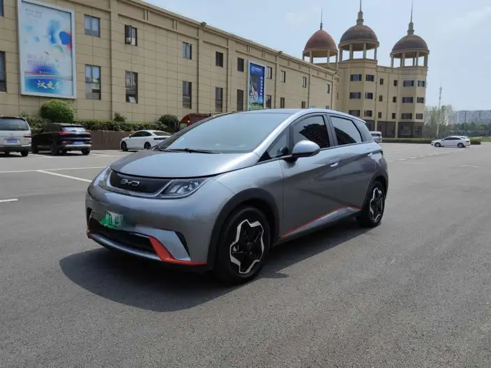 BYD Dolphin 2021 Model Fashion Edition – фото 1