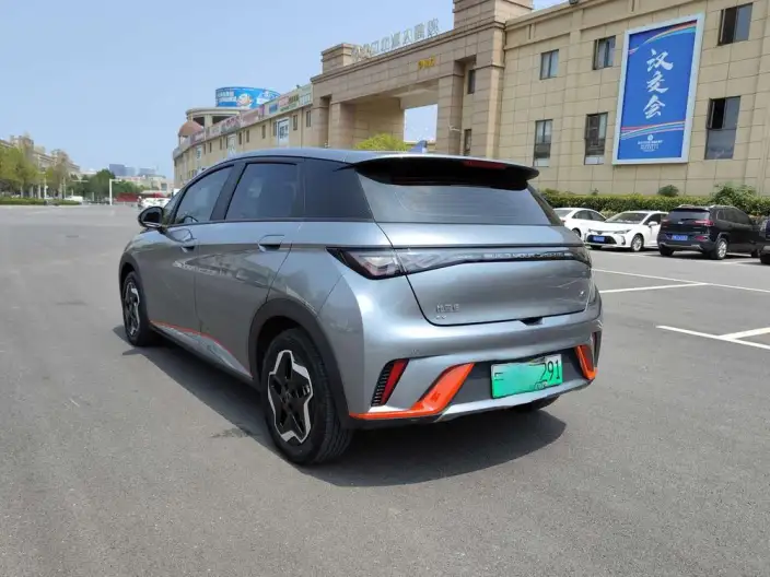 BYD Dolphin 2021 Model Fashion Edition – фото 4