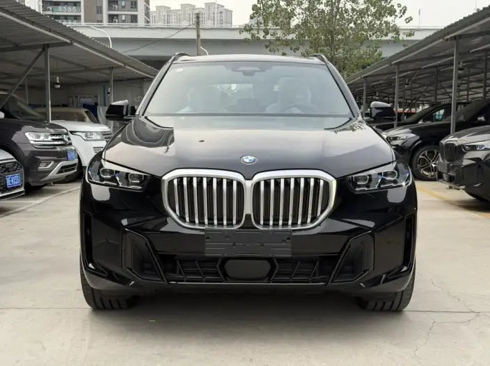 BMW X5 2026 Model Facelift xDrive40Li M Sports Night Set – фото 2
