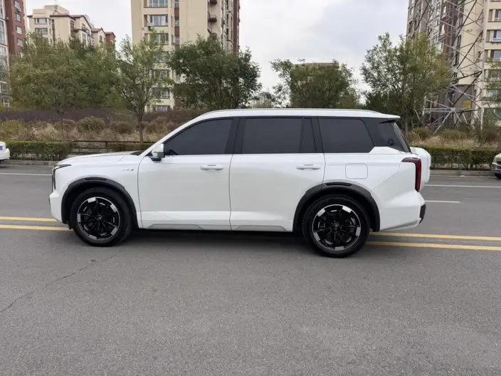 GAC ES9 PHEV 2024 Model 143km Traveler Max – фото 4