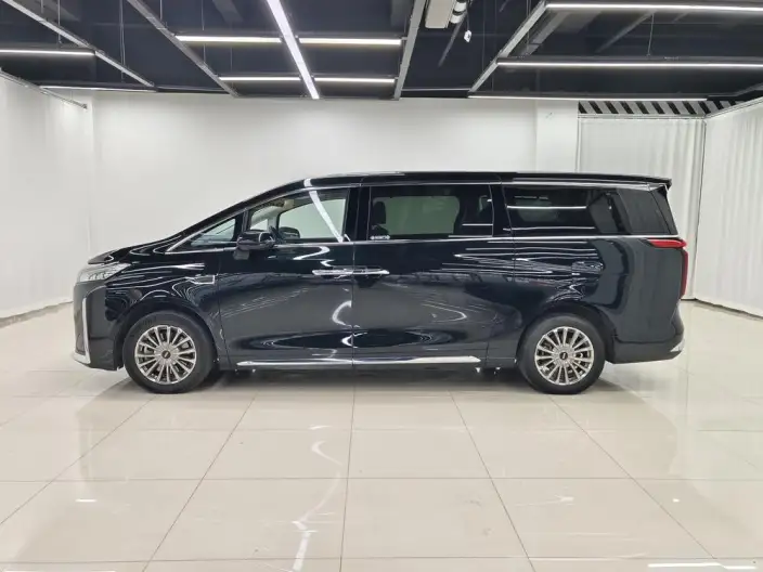 Wey Gaoshan P HEV 2023 Model 4WD Executive Extended Edition