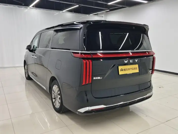 Wey Gaoshan P HEV 2023 Model 4WD Executive Extended Edition – фото 5