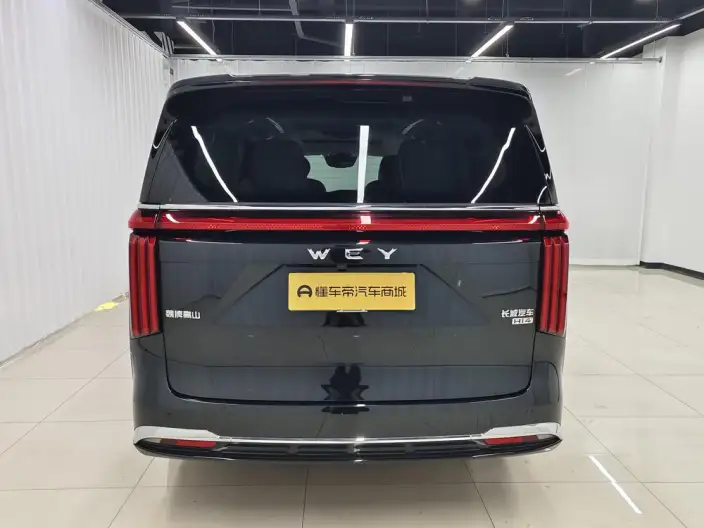 Wey Gaoshan P HEV 2023 Model 4WD Executive Extended Edition – фото 6