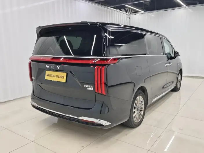 Wey Gaoshan P HEV 2023 Model 4WD Executive Extended Edition – фото 7